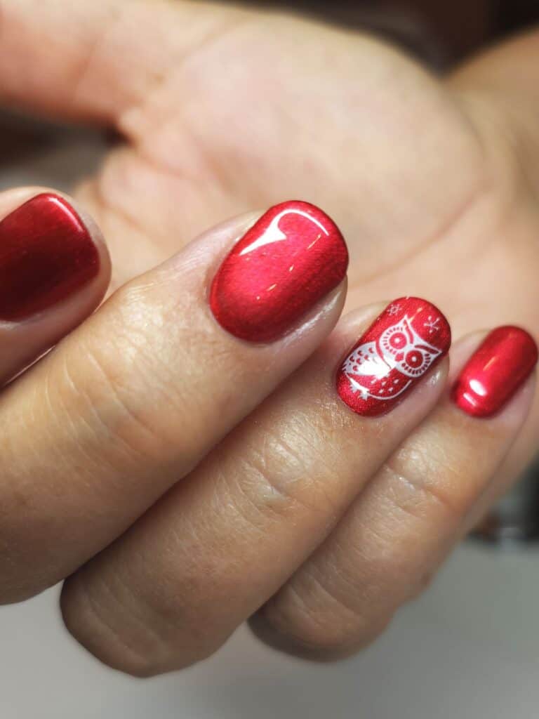 fingernägeldesign-rote-eule