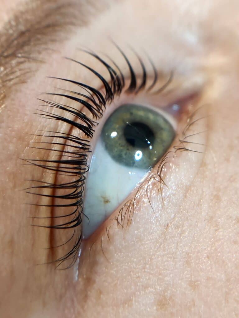 lashes-brows-style-1